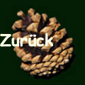 zurueck1